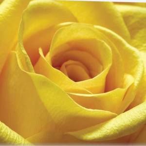 Meet your Posher, Mel